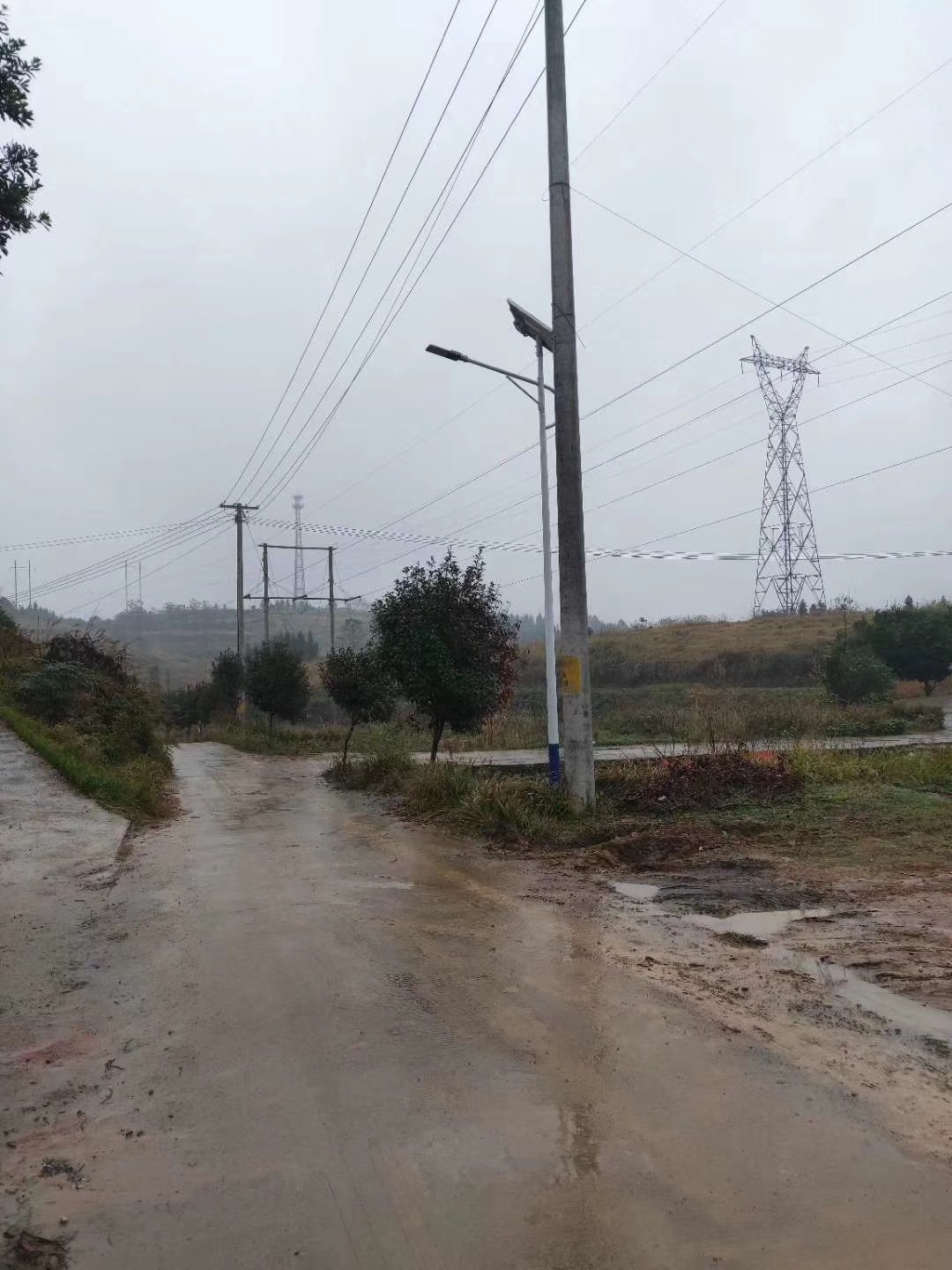 農(nóng)村新裝的太陽(yáng)能路燈